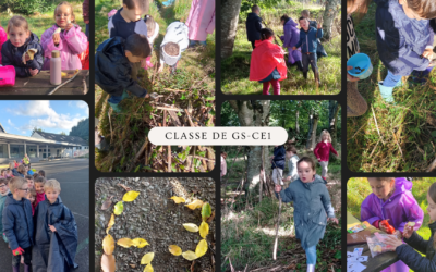 Ecole Dehors – GS/CE1