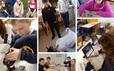 Les CM2 au Collège Sainte Marie